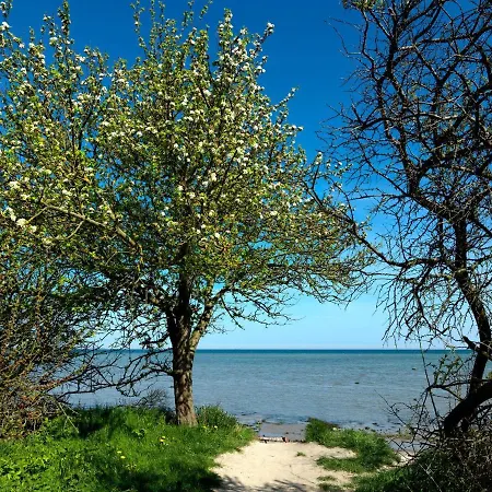 Nordlicht Fip Park